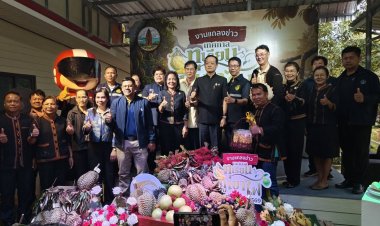 “ทุเรียนภูเขาไฟศรีสะเกษ” ระเบิดความฟินกลางเมือง! เปิดบุฟเฟต์ไม่อั้น ชิงแชมป์ราชาทุเรียน ดันรายได้ทะลุ 3.4 พันล้านบาท