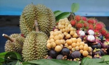 งานใหญ่ไฉไลขจรขจายไปทุกปีมหกรรมเทศกาล " ทุเรียนดินภูเขาไฟศรีสะเกษ"ส่งเสริมท่องเที่ยว-กระตุ้นศก.