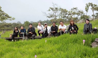ดอกกระเจียวบานสะพรั่งบนอุทยานฯป่าหินงามท่ามกลางสายหมอกและธรรมชาติอันอุดมสมบูรณ์