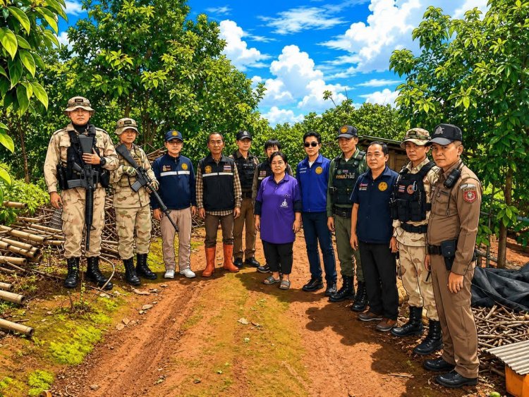 ยกระดับชาวพบพระเป็นตาสับปะรดคอยสอดส่องสกัดโจรย่องขโมยผลผลิตเกษตร
