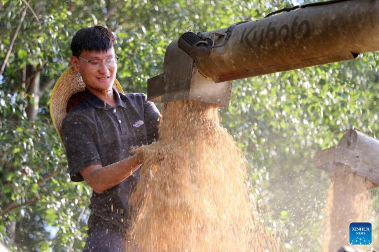หนุ่ม Gen Z ลาออกจากงาน กลับบ้านเกิดพลิกโฉมการปลูกข้าวสาลีด้วยเทคโนโลยี