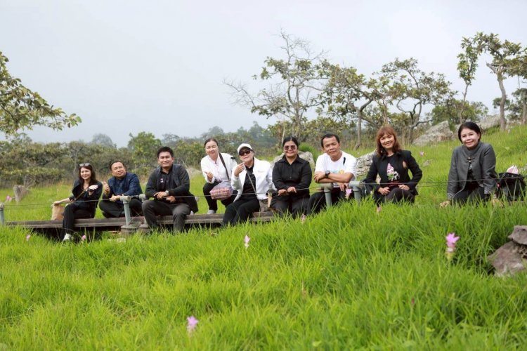 ดอกกระเจียวบานสะพรั่งบนอุทยานฯป่าหินงามท่ามกลางสายหมอกและธรรมชาติอันอุดมสมบูรณ์
