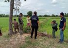 เตือนภัย! ชาวบ้านโนนคูณพบระเบิดสังหารในบ้าน หลังสุนัขคาบมาเล่น โชคดีแจ้งเจ้าหน้าที่ทัน ไม่มีผู้บาดเจ็บ