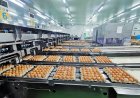 CPF ชูยุทธศาสตร์ '5 Goods' ขับเคลื่อนธุรกิจไก่ไข่ยุคใหม่ ย้ำเป้าหมายสร้างความสุขให้สังคมและโลก มากกว่าเพียงผลกำไร