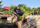 ปลาสวยงามในวัดดังราชบุรีตายปริศนากว่า 800 ตัว เร่งตรวจสอบหาสาเหตุ