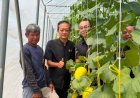 ผู้ว่าฯ ศรีสะเกษ ดัน ‘เมล่อนโนนคูณ’ สู่พืชเศรษฐกิจ ชูขายออนไลน์–สร้างแบรนด์ เพิ่มรายได้เกษตรกร