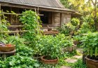 4 ผักพื้นบ้าน คุมน้ำตาลอยู่หมัด! สมุนไพรในสวนครัว ตัวช่วยสู้เบาหวาน