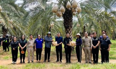 ลพบุรีเร่งปั้น ‘หนองม่วง’ เมืองเมล่อน–อินทผลัม สู่แหล่งท่องเทียวเชิงเกษตร