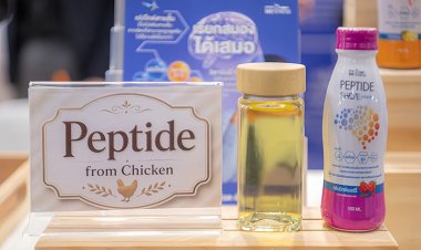 ความหวังใหม่ของสังคมสูงวัย งานวิจัยชี้ “เปปไทด์จากเนื้อไก่”ช่วยสนับสนุนสุขภาพสมอง และลดความเสี่ยงของอัลไซเมอร์