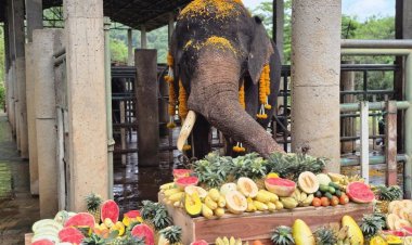 เริ่มชีวิตใหม่!จากนราธิวาสสู่อ้อมกอดที่เชียงใหม่ "พลายแสนเพชร"หลังผ่านชีวิตทำงานหนักตลอดหลายปี