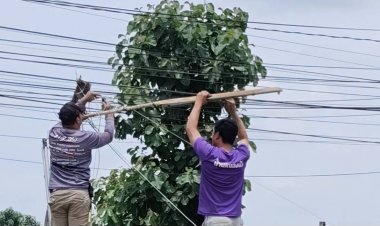 "หมวดนพ -เสี่ยหนึ่ง ภูอินน์ "ควักเงินส่วนตัวติดตั้งไฟฟ้าแสงสว่าง 4 แยกหน้าวัดหนองบัว