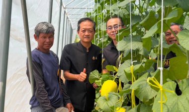 ผู้ว่าฯ ศรีสะเกษ ดัน ‘เมล่อนโนนคูณ’ สู่พืชเศรษฐกิจ ชูขายออนไลน์–สร้างแบรนด์ เพิ่มรายได้เกษตรกร