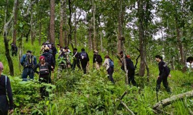 ปลุกชีพท่องเที่ยวแม่ฮ่องสอน! ดันบ้านแพมบกเส้นทางเดินป่าแห่งใหม่สัมผัสธรรมชาติสุดอันซีน