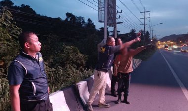 รวบตัวโจรแสบแอบปีนป้ายอัจฉริยะริมถนนมิตรภาพ ลักตัดสายไฟสาธารณะเสียหายหนัก!