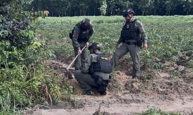 ระทึก!ชุด EOD เก็บกู้ทำลายระเบิดพื้นที่ชายแดนเขาพระวิหารศรีสะเกษ