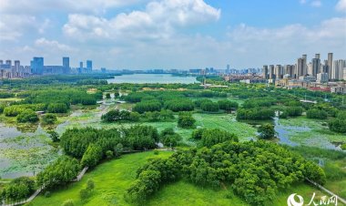 หนานชางเร่งพัฒนาสวนชุ่มน้ำ สร้าง ‘ปอดสีเขียว’ กลางเมือง