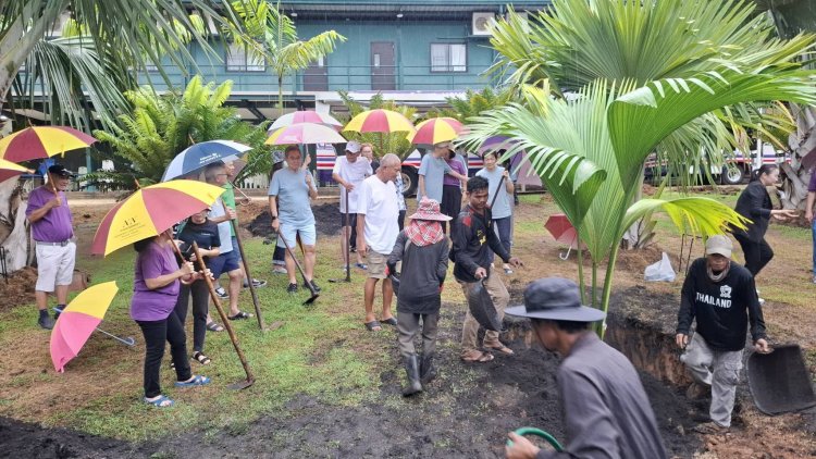 สวนนงนุชพัทยา ปลูก “มะพร้าวทะเล” เพิ่ม 23 ต้น ขยายภารกิจอนุรักษ์พันธุ์พืชระดับโลก