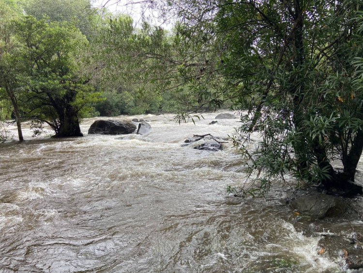 เขาใหญ่เฝ้าระวังขั้นสูงสุด! พิษ "ไมสัก" ดันฝนสะสมทะลุ 730 มม. เขื่อนตะค้อเร่งระบายหนีน้ำท่วม—นาดีพลิกวิกฤตเปิดเทศกาลล่องแก่งหินเพิงได้พลัน