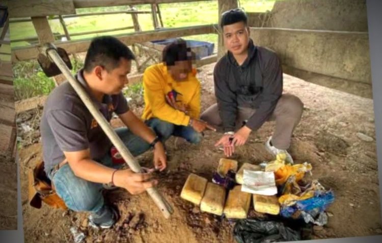 ตำรวจชัยภูมิ รวบเอเย่นต์คาไร่มัน ก่อนขุดใต้คอกควาย ยึดยาบ้ากว่า 6 หมื่นเม็ด