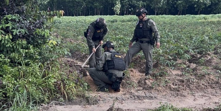 ระทึก!ชุด EOD เก็บกู้ทำลายระเบิดพื้นที่ชายแดนเขาพระวิหารศรีสะเกษ